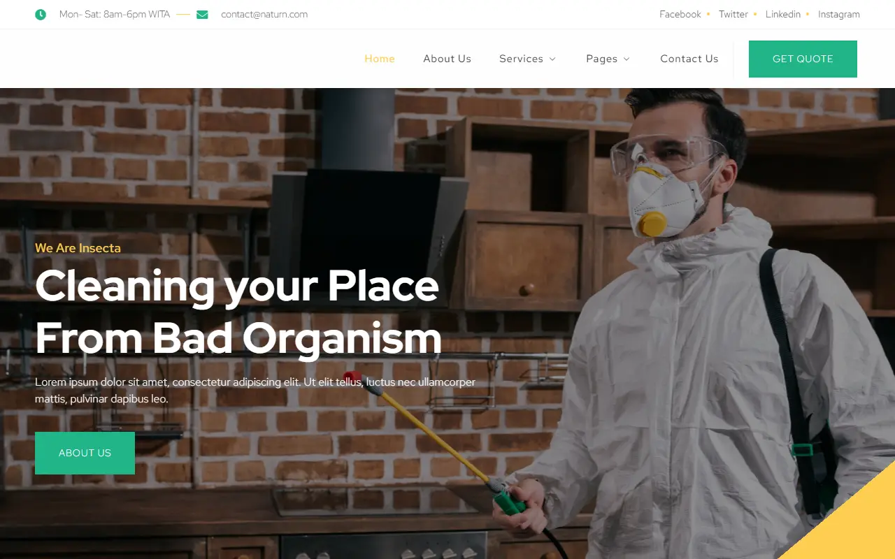 หน้าแรกของธีม Insecta Pest Control บนคอมพิวเตอร์