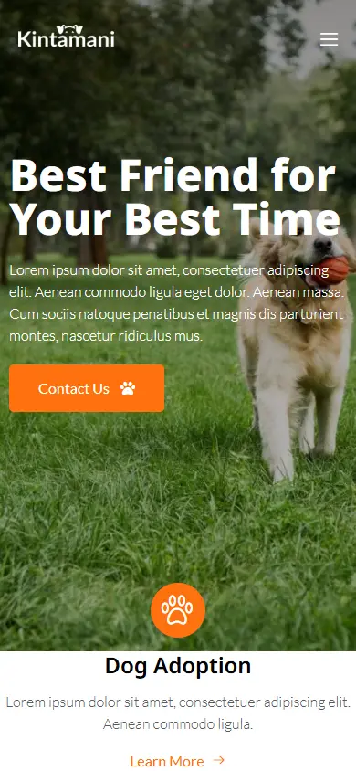 หน้าแรกของธีม Kintamani Dog Breeder บนมือถือ