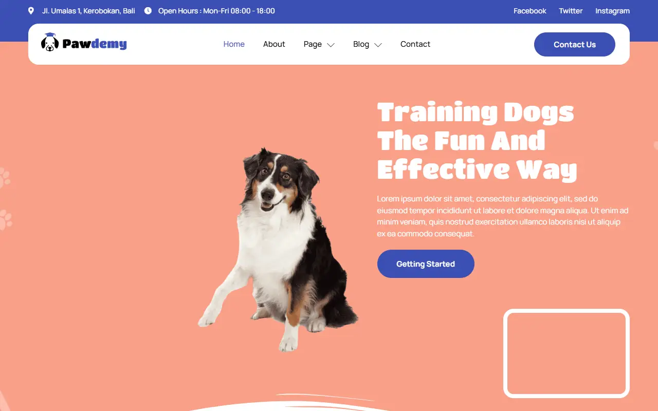 หน้าแรกของธีม Pawdemy Pet Training Academy บนคอมพิวเตอร์