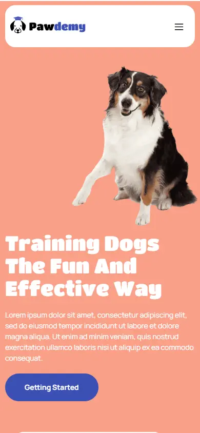 หน้าแรกของธีม Pawdemy Pet Training Academy บนมือถือ