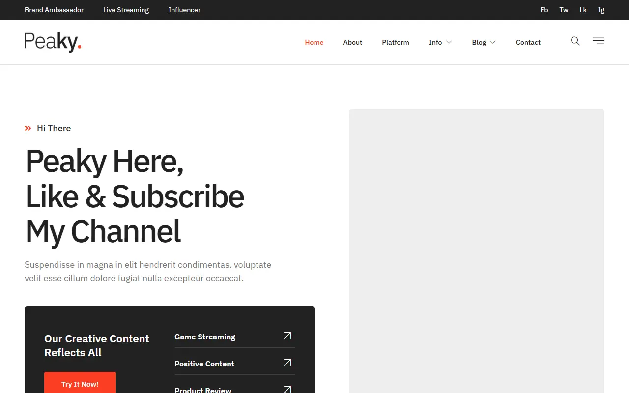 หน้าแรกของธีม Peaky Content Creator บนคอมพิวเตอร์
