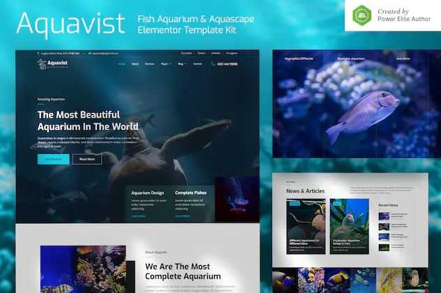 Aquavist Fish Aquarium - Aquascape