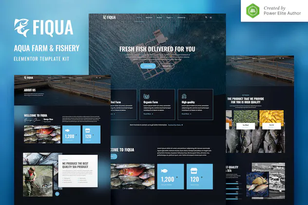 Fiqua Aqua Farm - Fishery Services