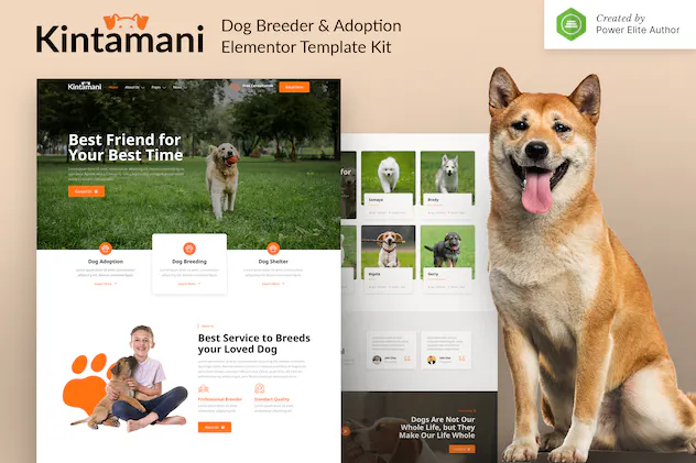 Kintamani Dog Breeder - Adoption
