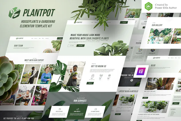 Plantpot Houseplants - Gardening