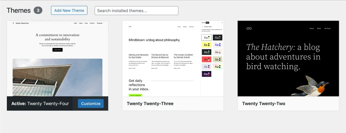 รับทำเว็บไซต์ WP 02 เลือก Theme Theme คืออะไร 01