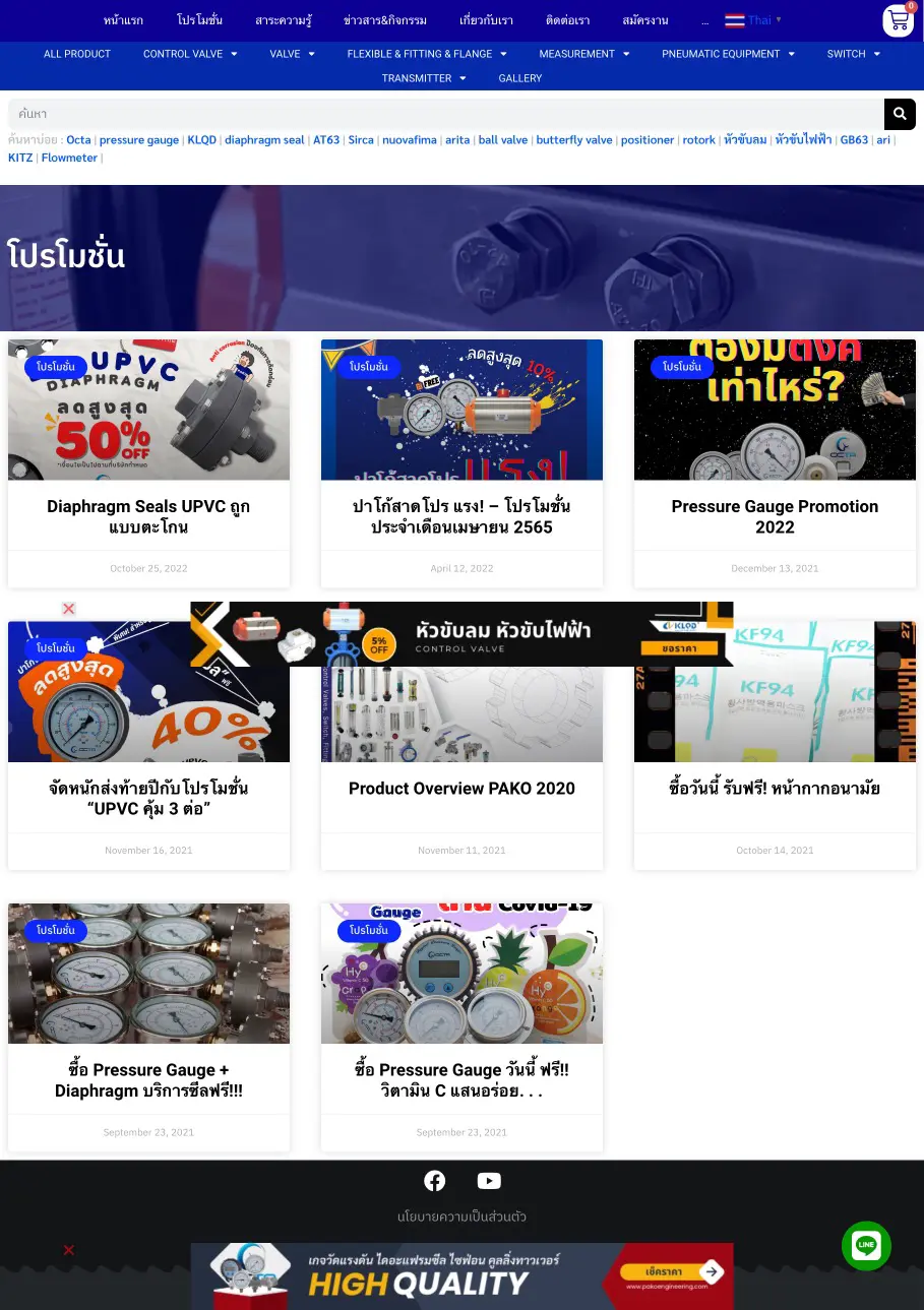 รับทำเว็บไซต์ ผลงานของเรา บริษัท บีวันเฟรนด์ชิพ จำกัด portfolio 03 pakoengineering promotion